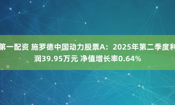 第一配资 施罗德中国动力股票A:2025年第二季度利润39.95万元 净值增长率0.64%