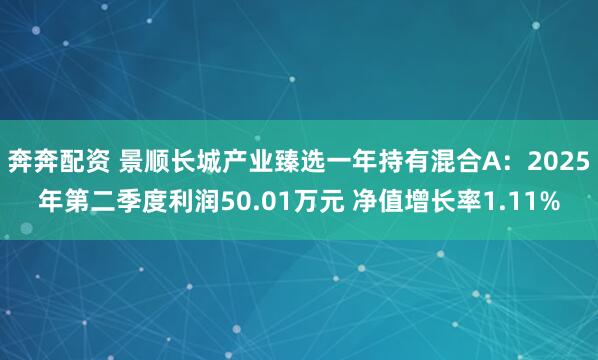奔奔配资 景顺长城产业臻选一年持有混合A:2025年第二季度利润50.01万元 净值增长率1.11%