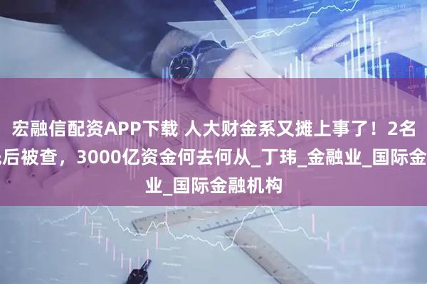 宏融信配资APP下载 人大财金系又摊上事了！2名校友先后被查，3000亿资金何去何从_丁玮_金融业_国际金融机构