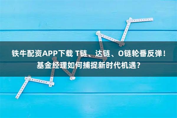 铁牛配资APP下载 T链、达链、O链轮番反弹!基金经理如何捕捉新时代机遇?