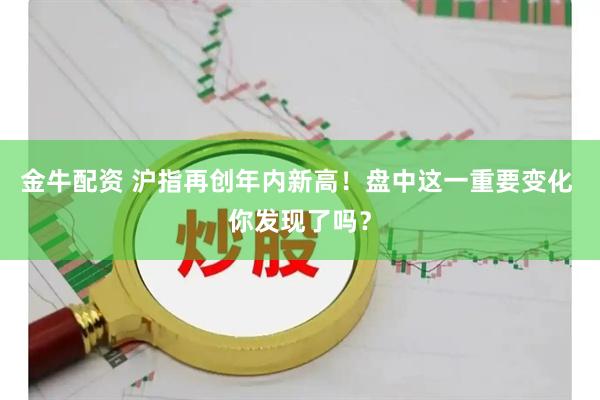 金牛配资 沪指再创年内新高！盘中这一重要变化 你发现了吗？
