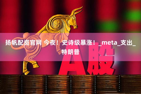 扬帆配资官网 今夜！史诗级暴涨！_meta_支出_特朗普
