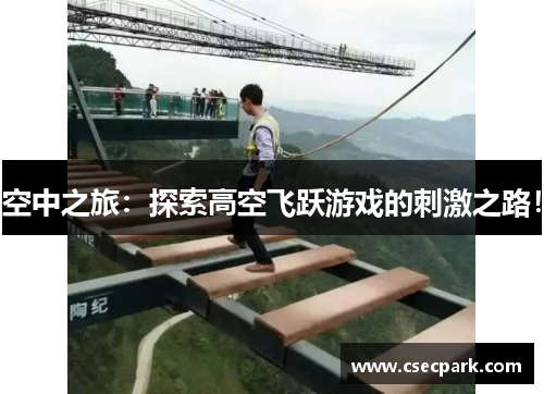 空中之旅：探索高空飞跃游戏的刺激之路！