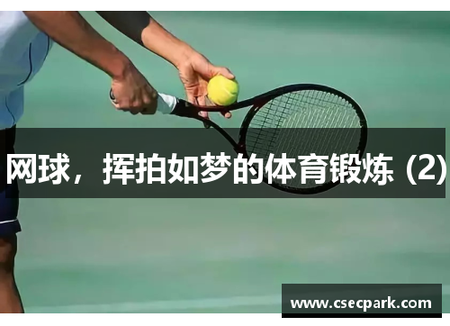 网球，挥拍如梦的体育锻炼 (2)