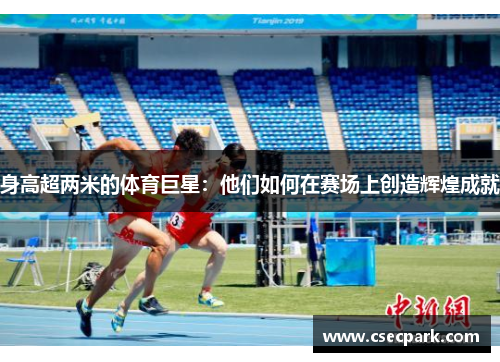 身高超两米的体育巨星：他们如何在赛场上创造辉煌成就