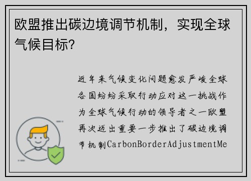 欧盟推出碳边境调节机制，实现全球气候目标？